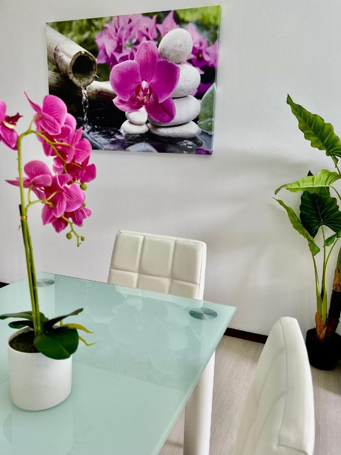 Santa Catarina By Ola Madeira Apartment Фуншал Екстериор снимка
